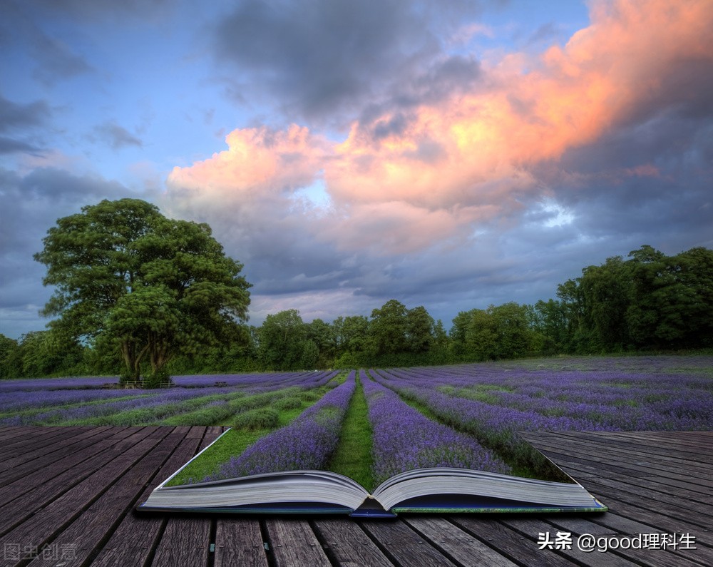 实数及其基本定理,实数公理大全