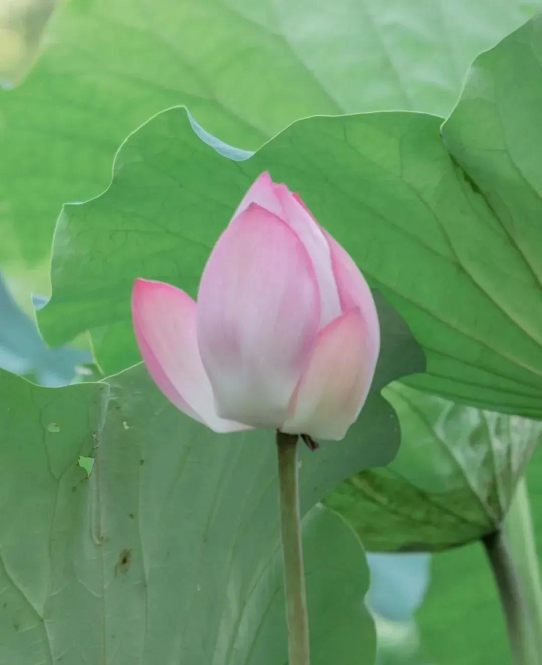 华山论道：寓意很好的八个汉字，代表八种人生智慧