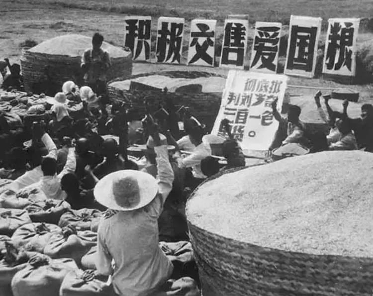 爷爷带着爸爸交公粮，排队一天也没交上，饿的哇哇大哭