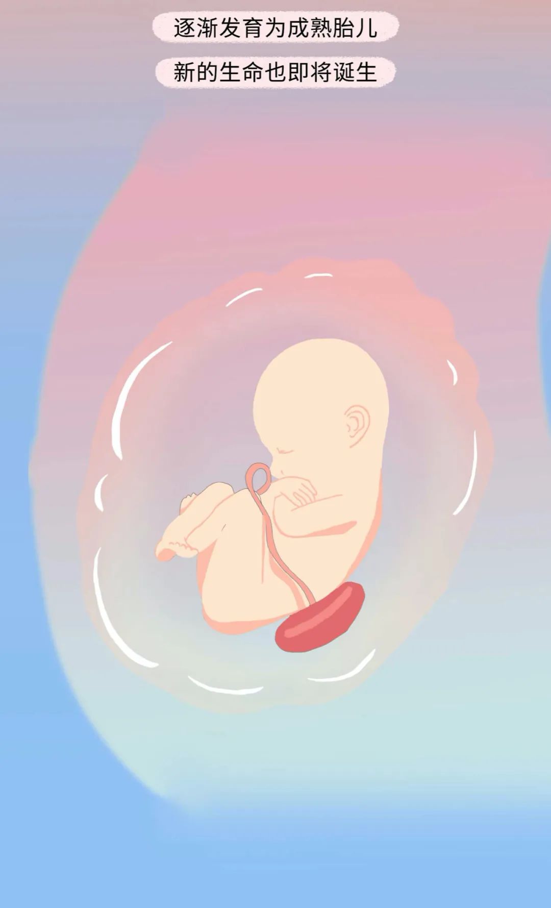 古代女人怀孕了要生宝宝漫画,怀孕的过程讲解漫画