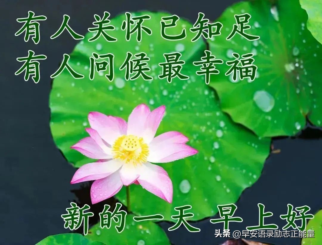 微信早上好正能量经典短语录,微信早晨发圈正能量的句子
