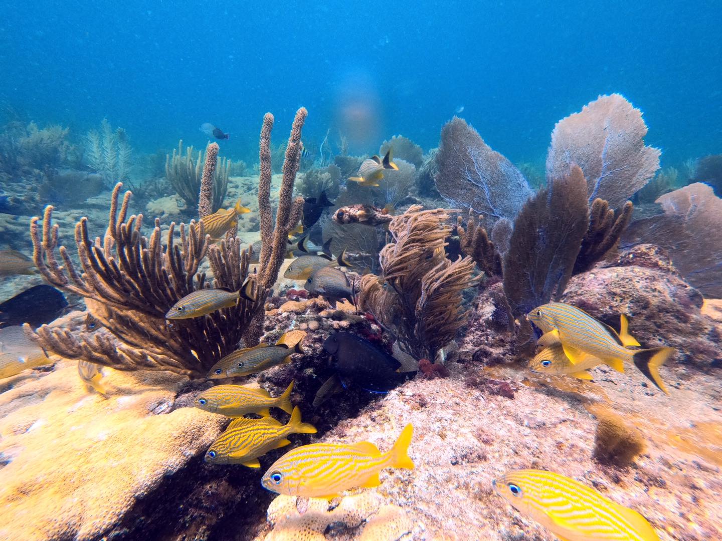 夏日游玩攻略1日游,夏日旅游攻略江浙沪