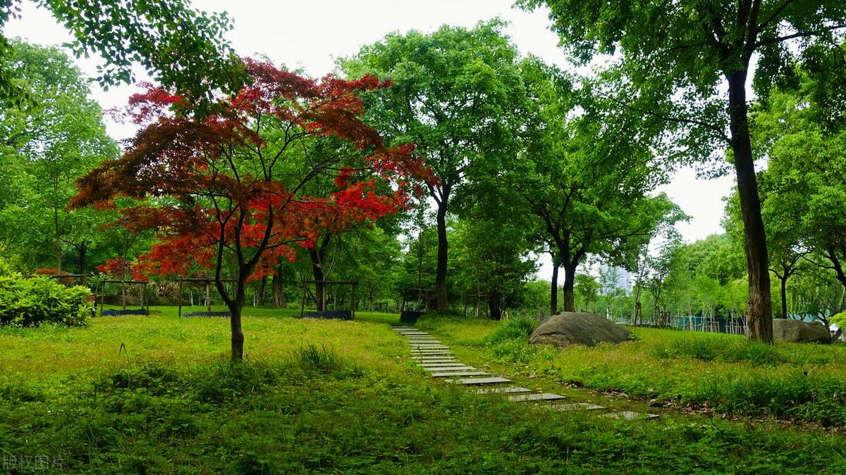 苏州留苏过年景点免费,苏州十大免费景点东方之门