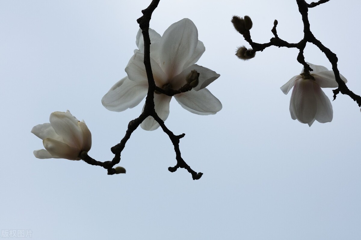 为什么两个人总是关系不好,两个人关系不好说明什么