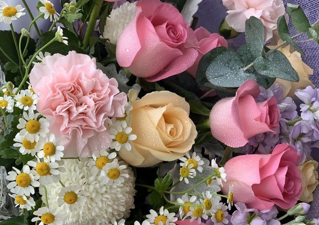 鲜花去哪了？带您在花尽处，又见“花开”