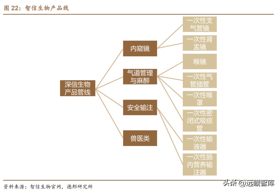 积极布局光电医美,普门科技:治疗康复、IVD双翼齐飞,未来可期