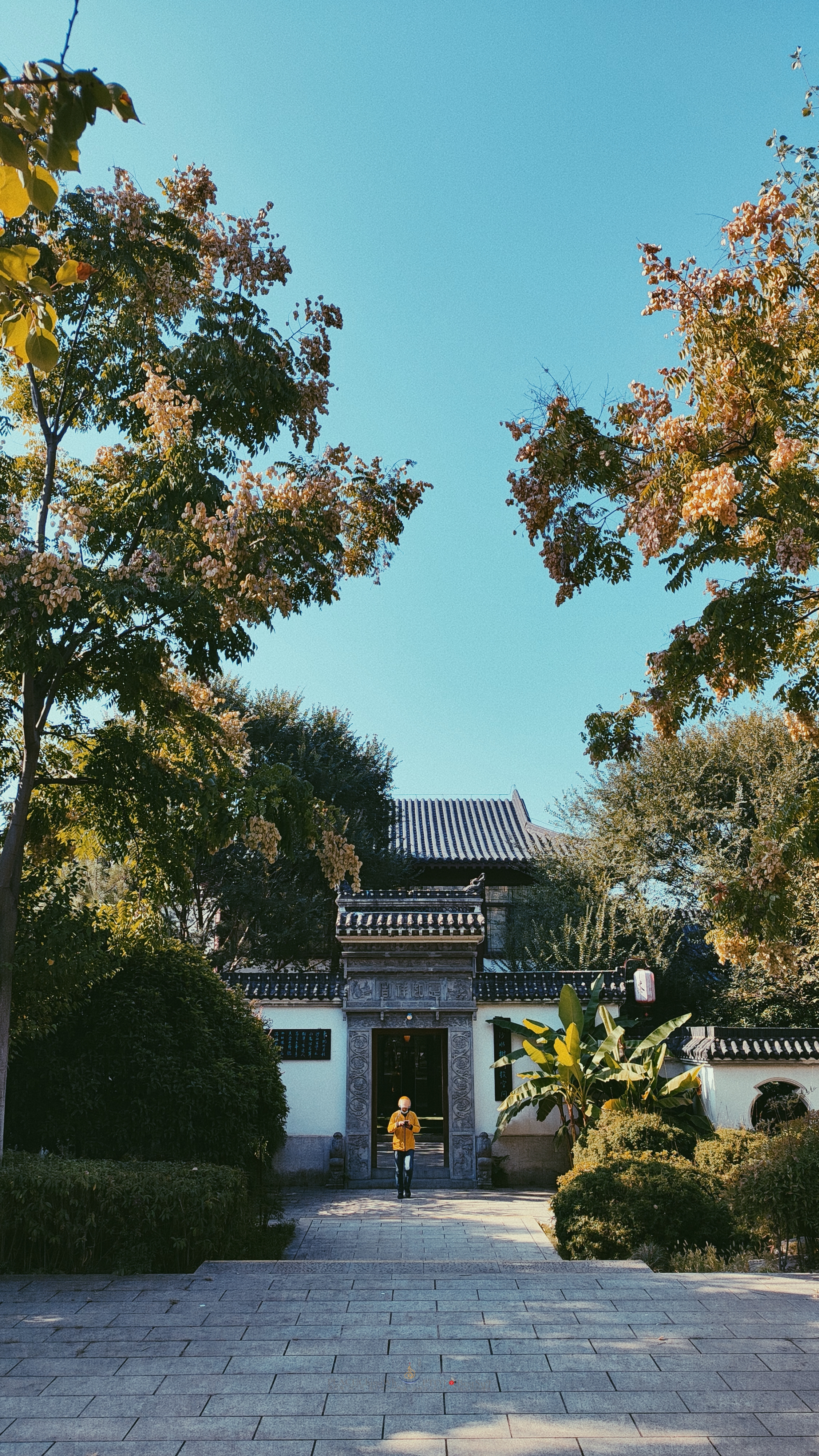 武汉内环大沙湖旅游,武汉沙湖公园最新视频