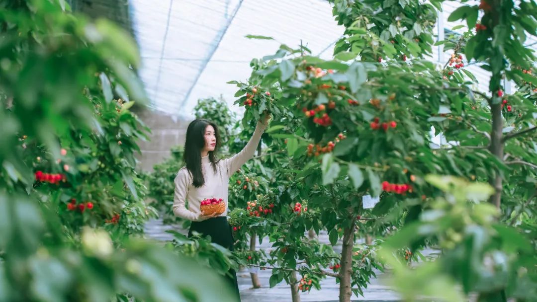 日照夜生活哪里玩,日照晚上去哪里玩