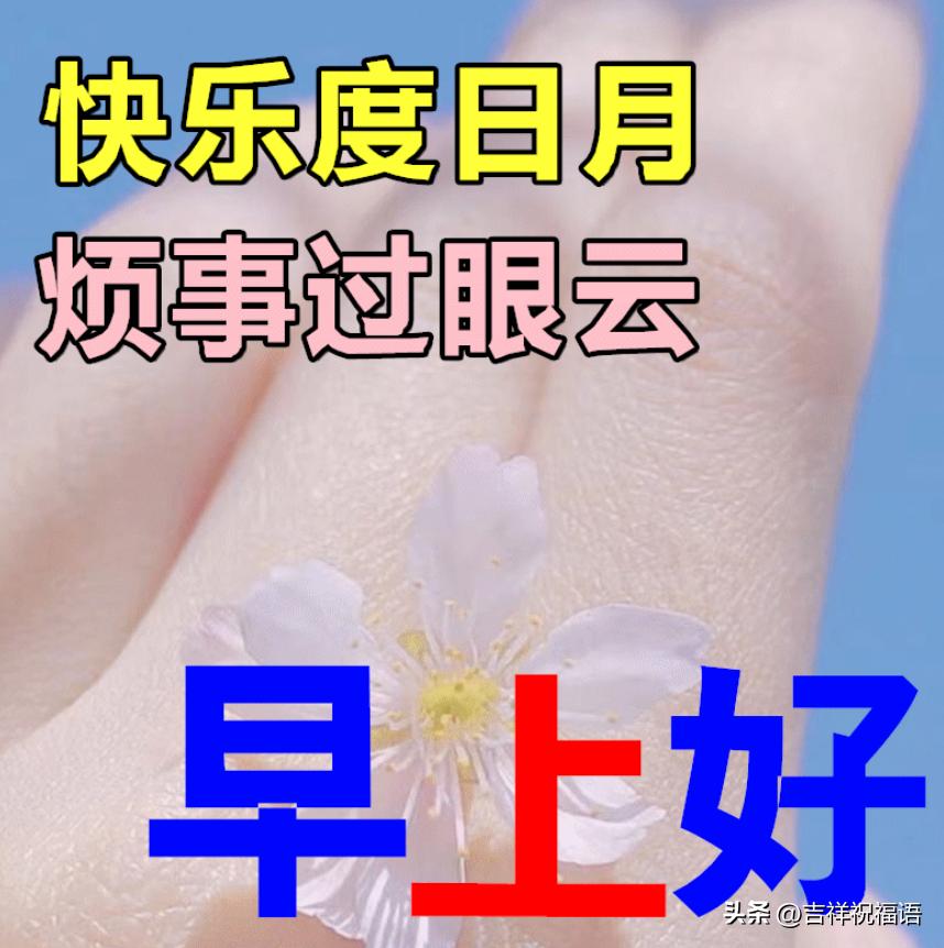 早上好表情包纯文字,夏日最新早上好表情包