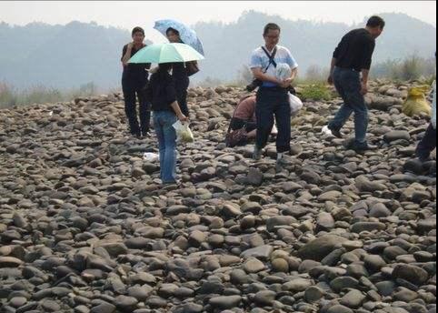 捡什么样的石头能发家致富 (捡石头真的可以发财吗)