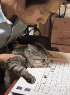 有几种行为让猫咪以为你不要它了,猫咪的这些坏习惯真的很令人头疼