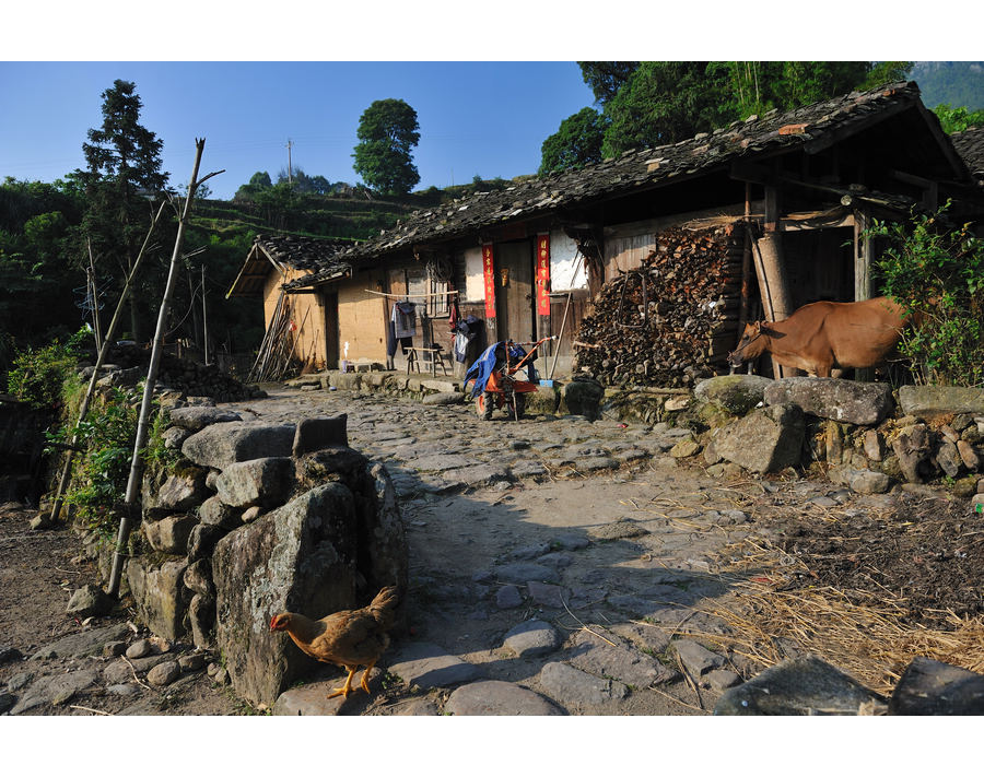 18岁小伙网购24把仿真枪被判无期！哭诉：局长藏20把真枪才判3年