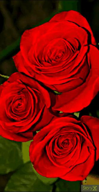 庚子日柱2023年癸卯年运势,癸卯年2023年哪个月出生最好