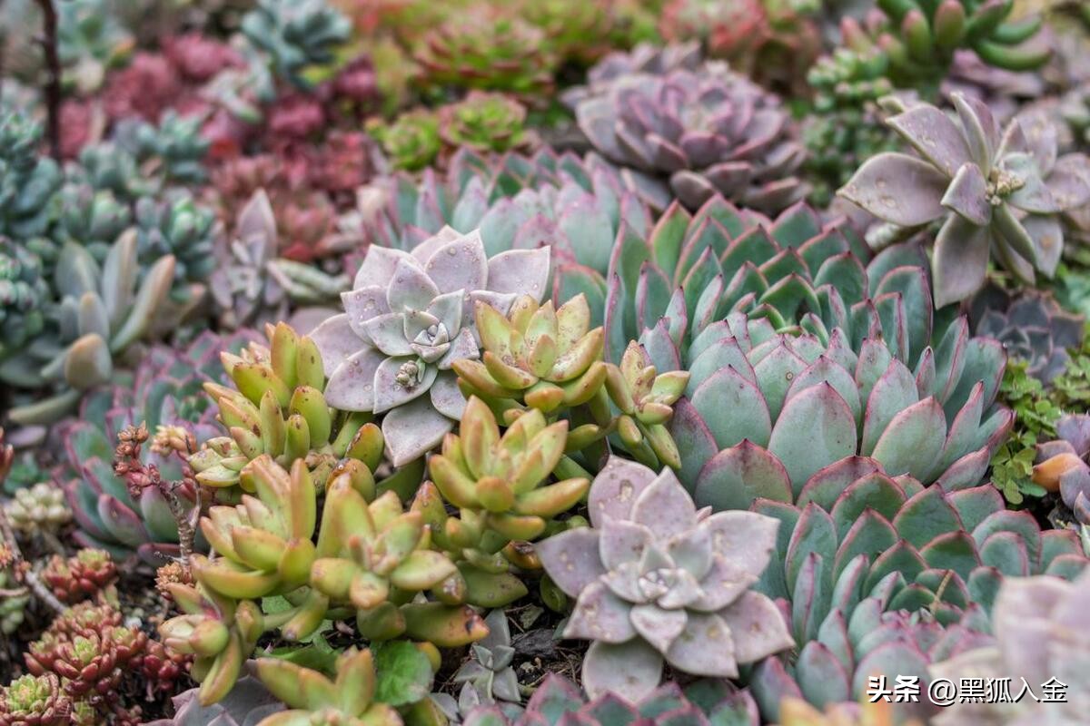 5个冷门创业小生意是什么,50个冷门创业小生意收益