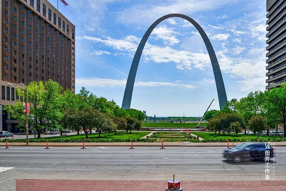 物种进化和系统升级,物种重塑