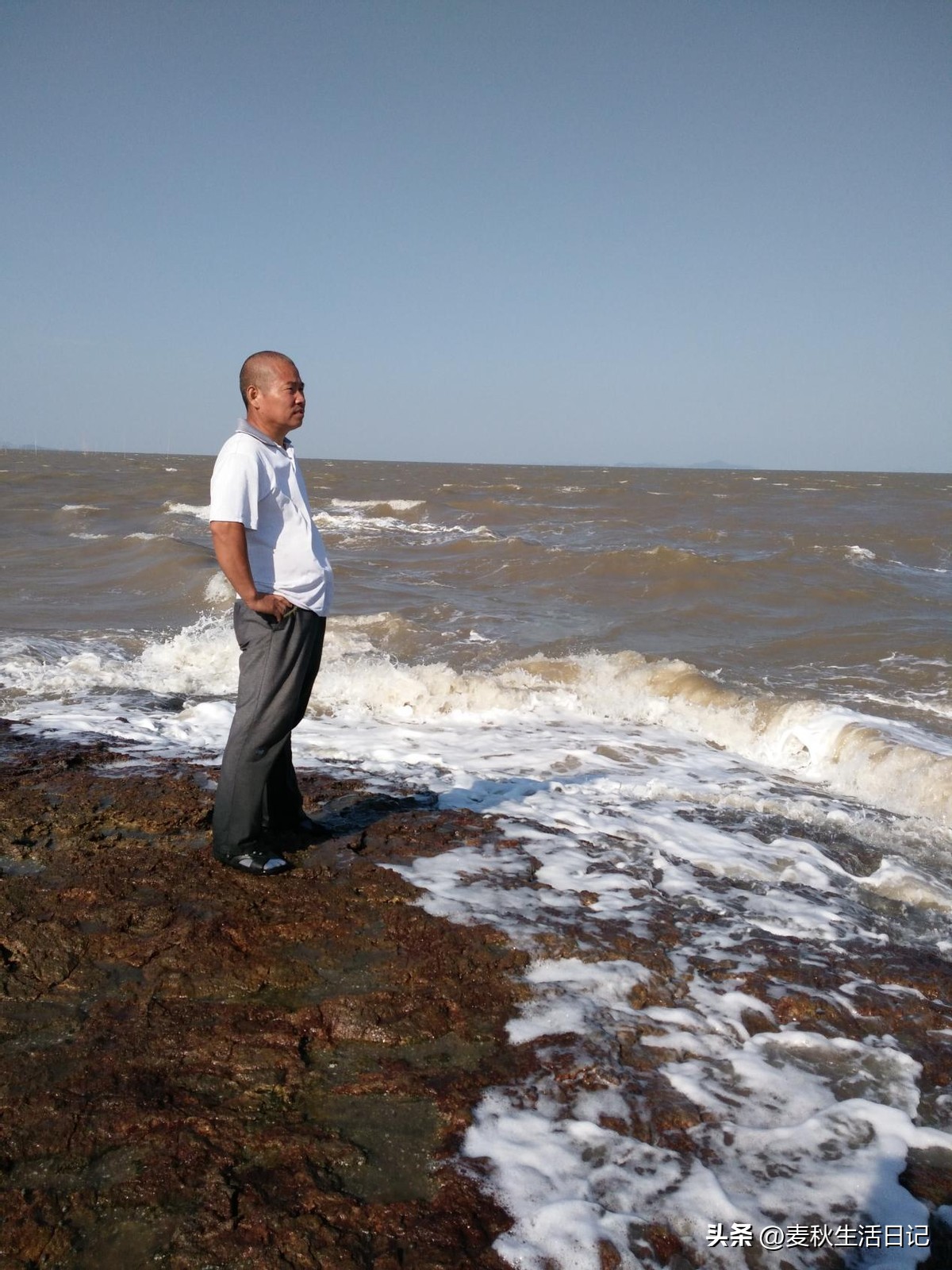 笔记本电脑网卡推荐,电脑基础知识入门100讲