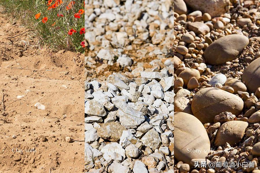 法国红酒leschastes价格,法国红酒maison价格