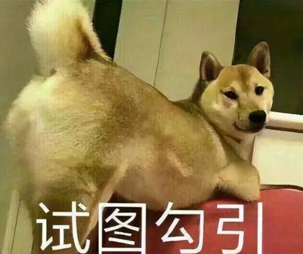 微商新手小白引流方法,新手入门微商该如何引流