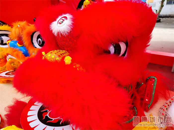 【视频】逛花街、买靓花、叹美食，容桂时光花市约定你！