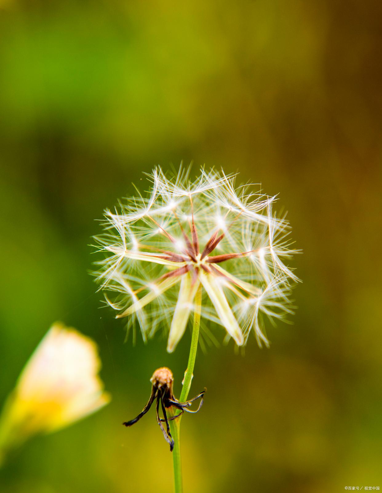 如何用手机相机拍出摄影师的照片,手机摄影照片分享