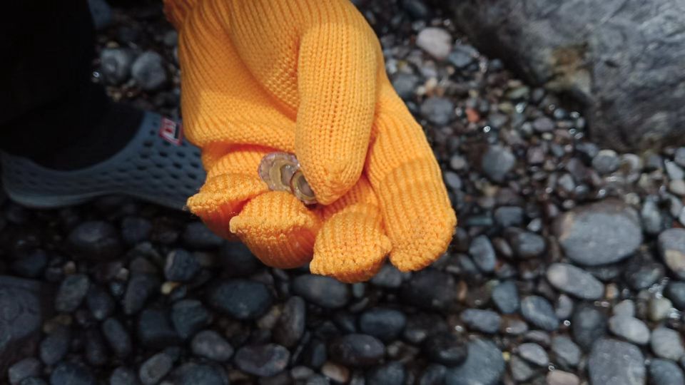 浙江蓝色的大海,浙江哪里可以看到蓝色的大海