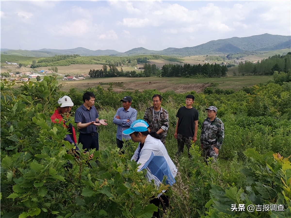永吉一拉溪镇,永吉一拉溪有什么规划