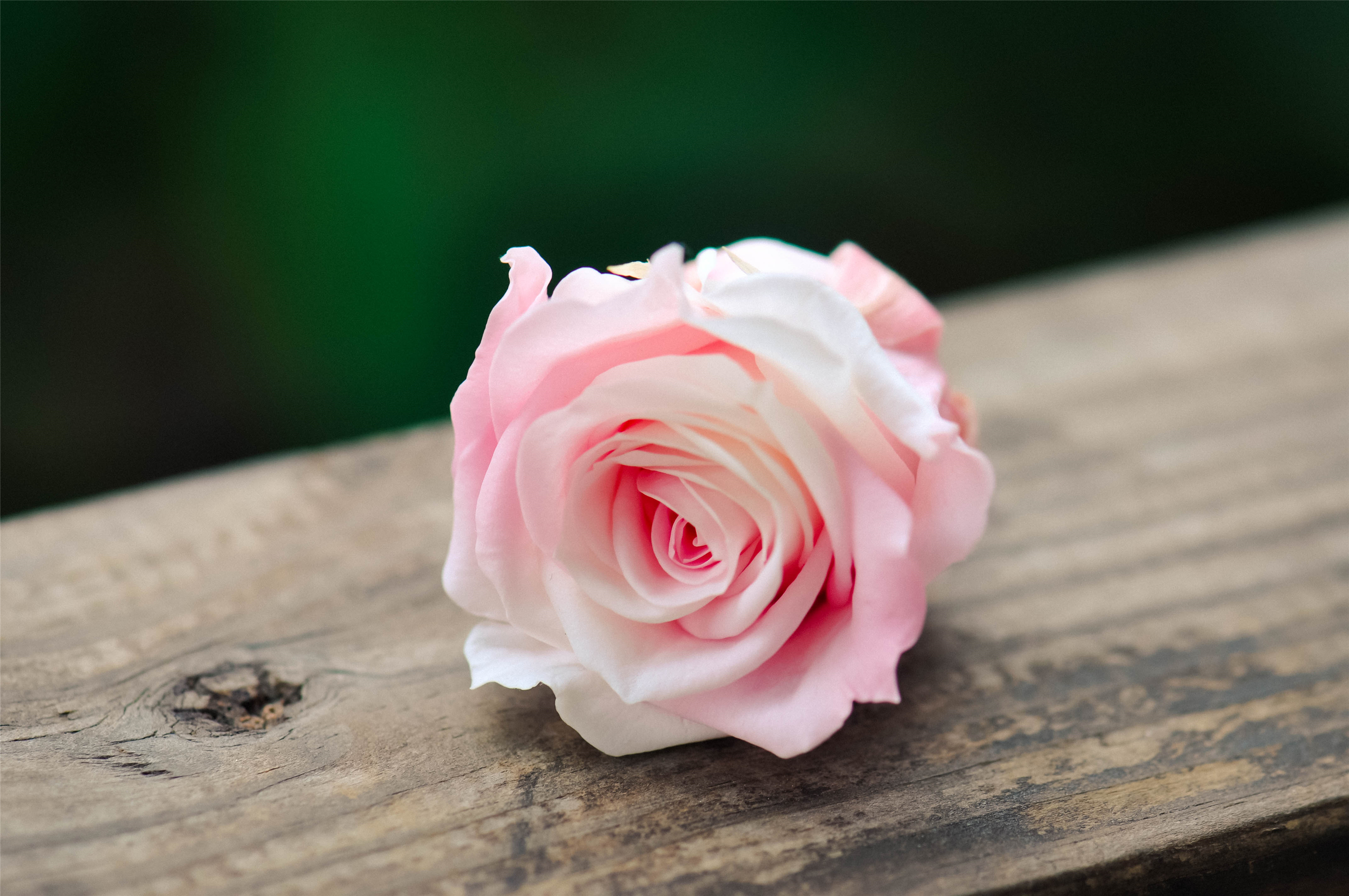 怎么做男人的情人让男人为你花钱,怎么做男人的情人