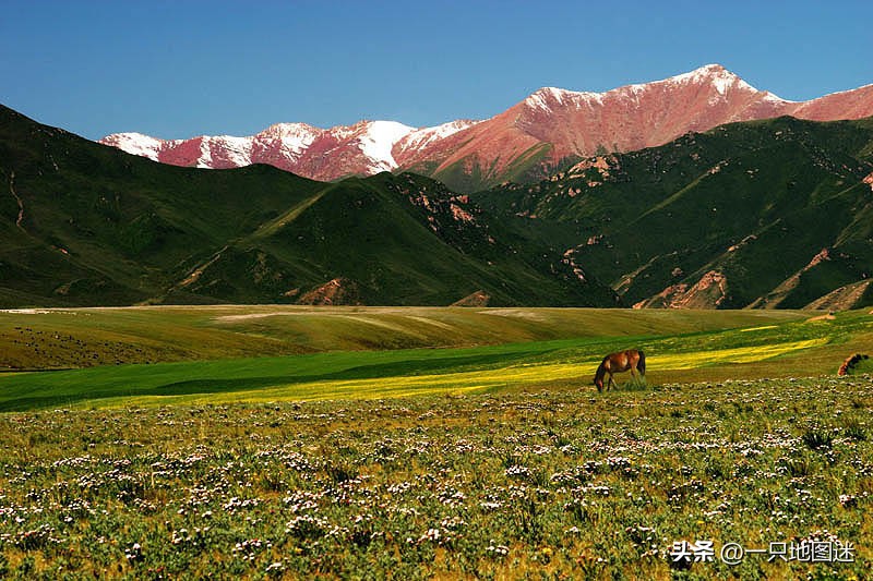 甘肃玉如意图,甘肃地形像玉如意
