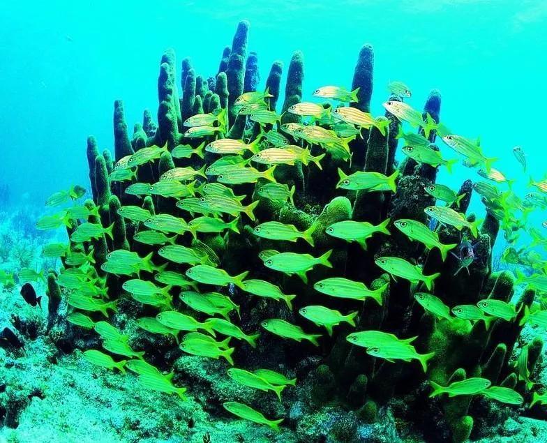 上海普陀长风公园风景,上海长风公园景观分析