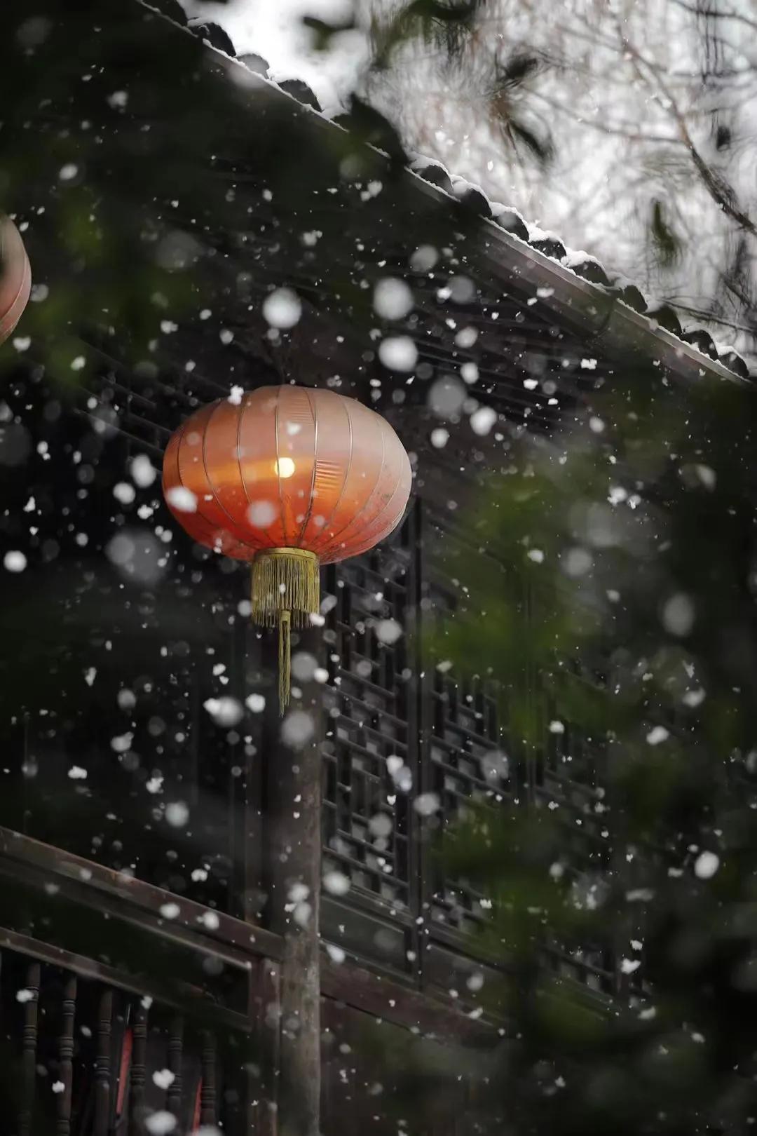 石痕脉脉，于光阴中镌刻生命#西泠网拍·二月月拍#