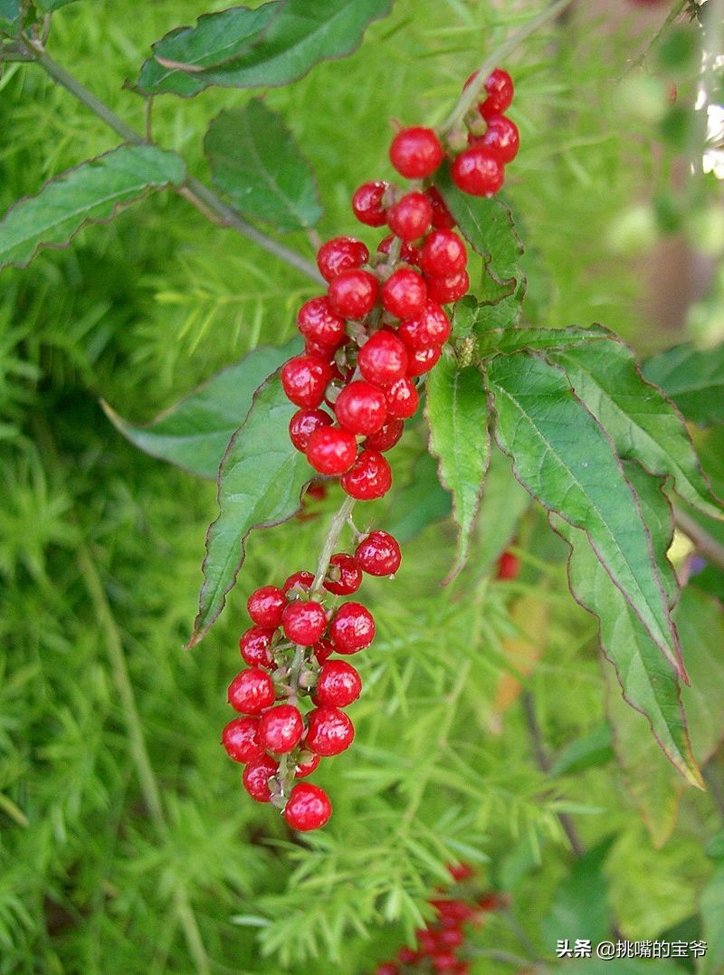 国土面积小于三万的国家,国土面积不足的省