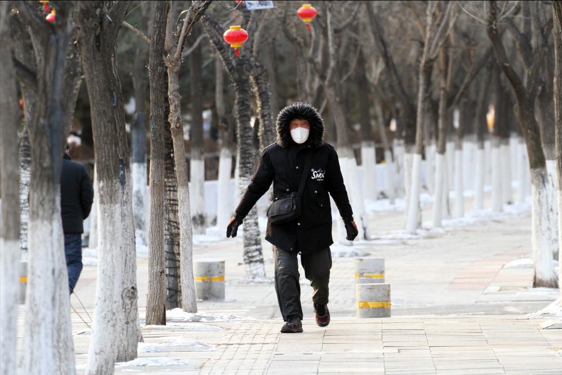 冬不藏精春必温病的出处,冬不藏精是什么