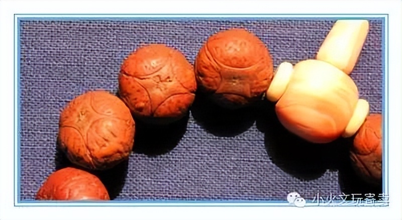 凤眼菩提2022,2023凤眼菩提