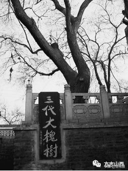 问祖先何处来山西洪洞大槐树英文,问我祖先在何处