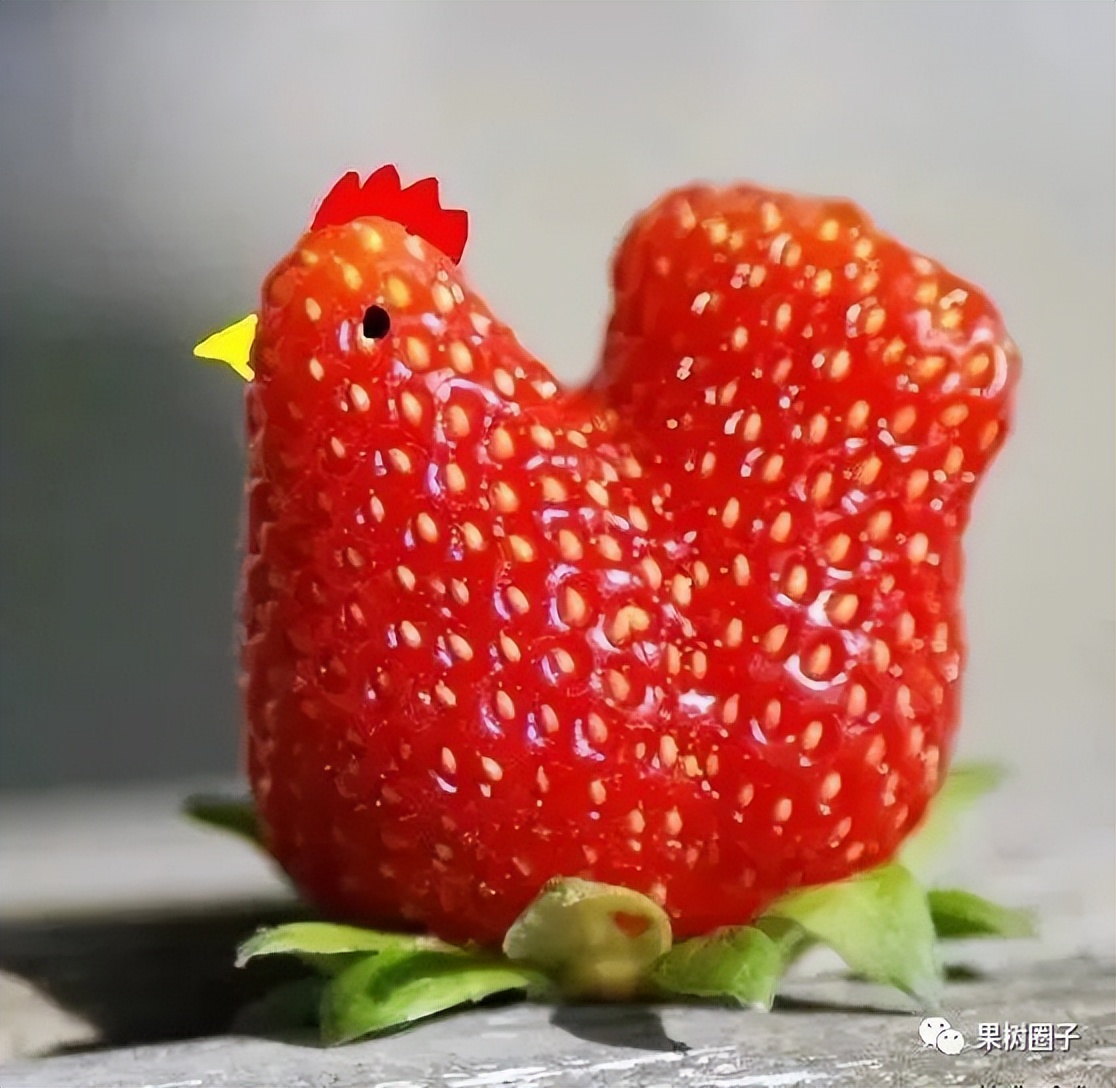 2024年的水果批发市场预测,关于水果市场的前景分析