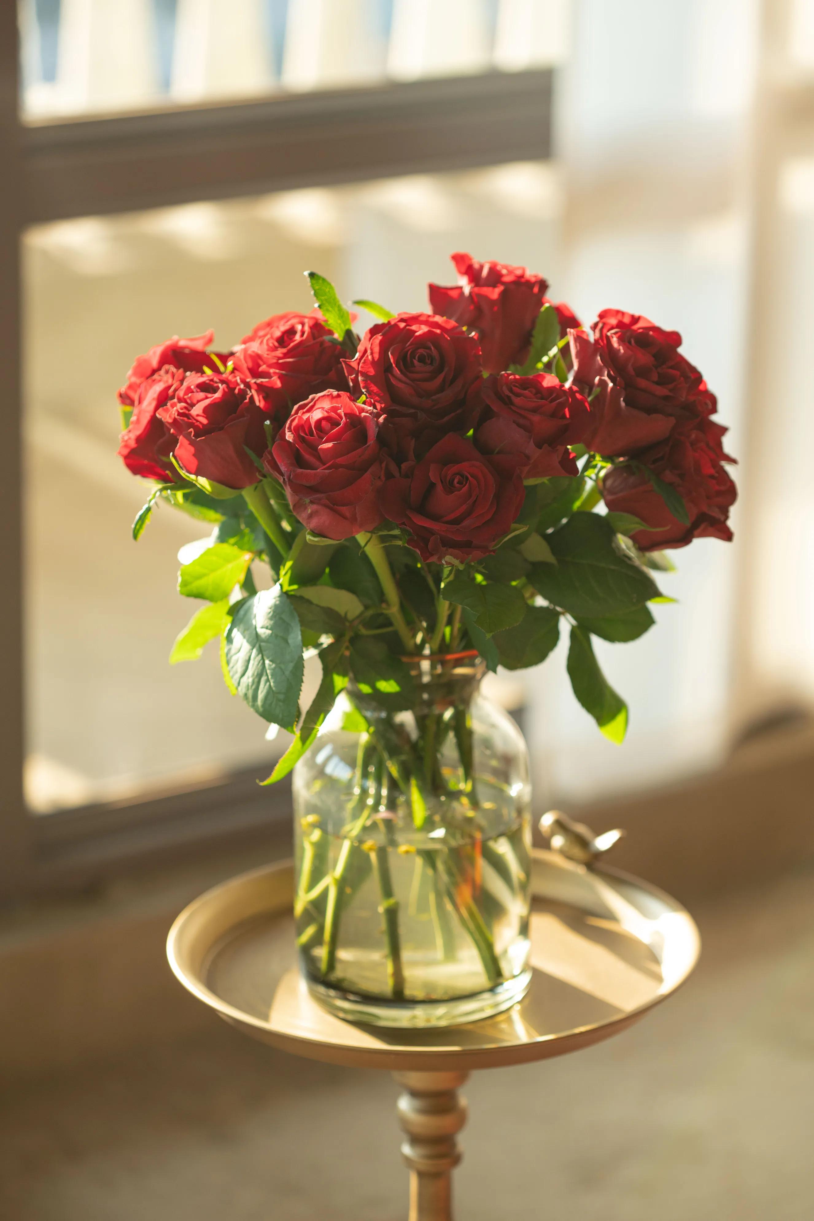 浪漫玫瑰爱情,爱情花朵红玫瑰