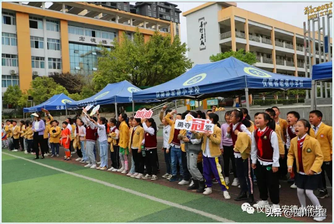 仪陇县新政小学足球联赛2023,仪陇县新政小学第九届足球比赛