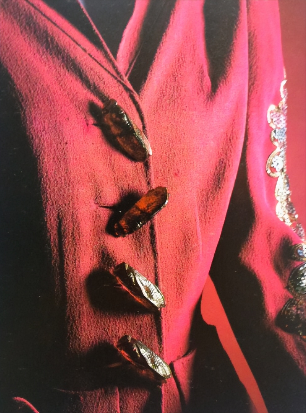 香奈儿衣品,艾玛罗伯茨香奈儿衣品