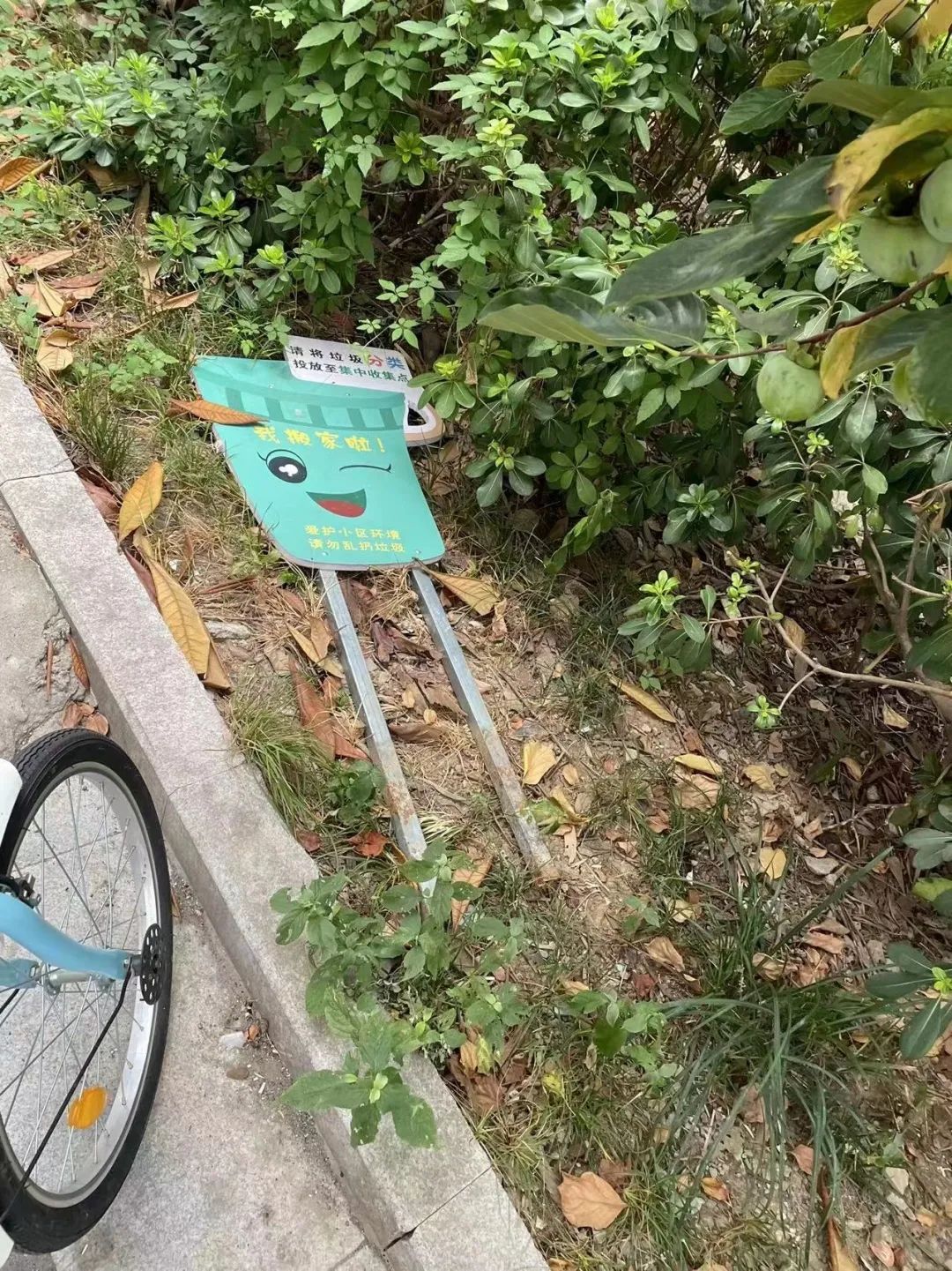 溧水区物业红黑榜,浦口区物业评比公示