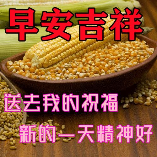 早安问候朋友带字最美图片,4月28日早安问候图片文字