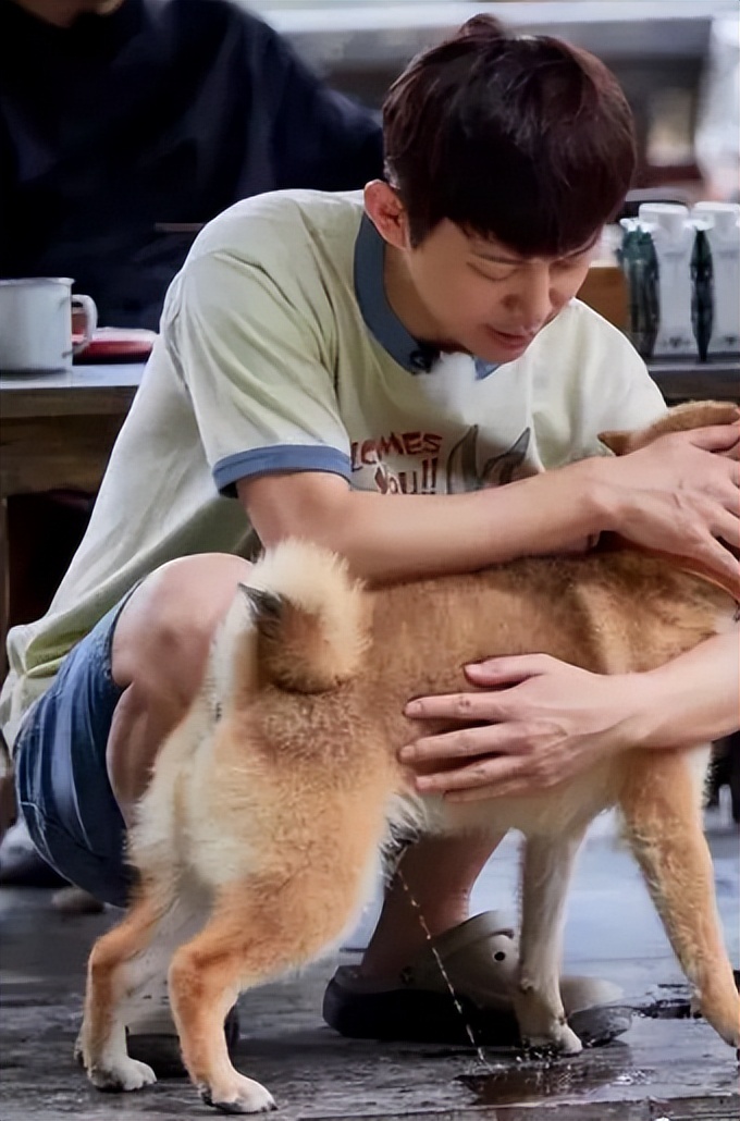 何老师抱狗撒尿，三石弟弟跳舞洗狗…这些破图我看一次笑一次哈哈