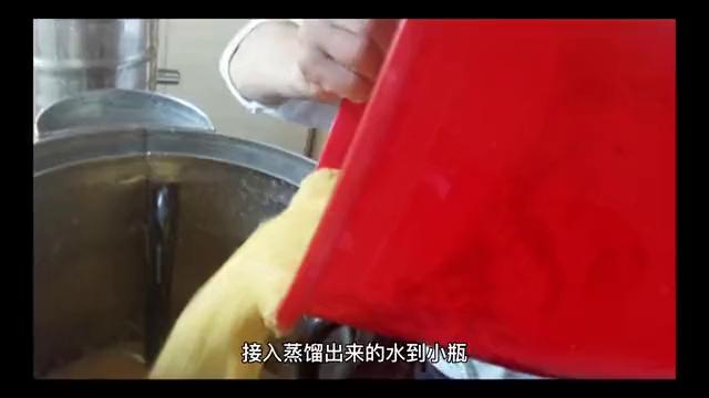 冰箱可以放什么水果和蔬菜,适合放冰箱的水果蔬菜