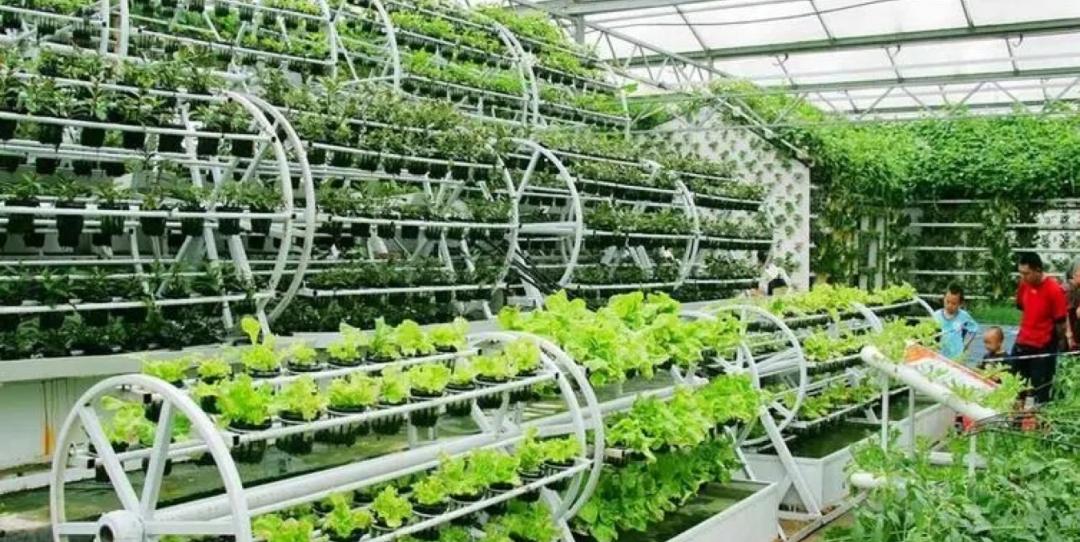 数字农业发展的模式,数字农业和农业数字化