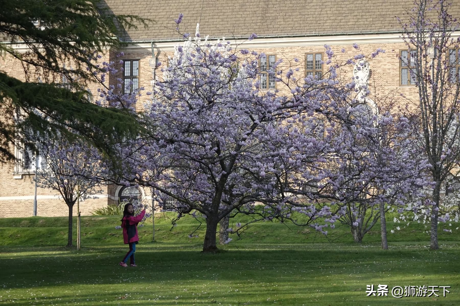 英国本科陪读,英国陪读住宿