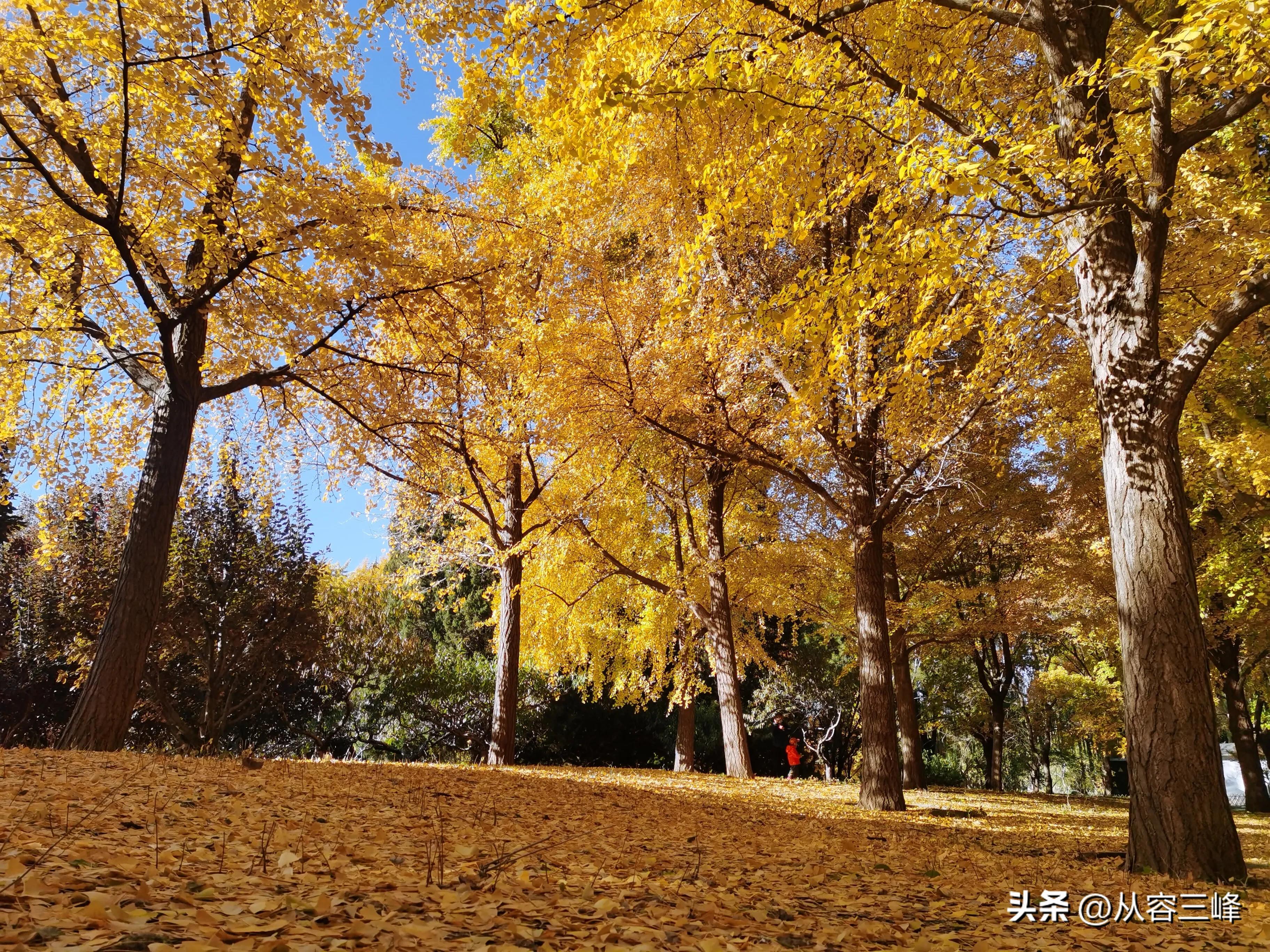 遇见好医生三生有幸,遇见一位好的中医大夫