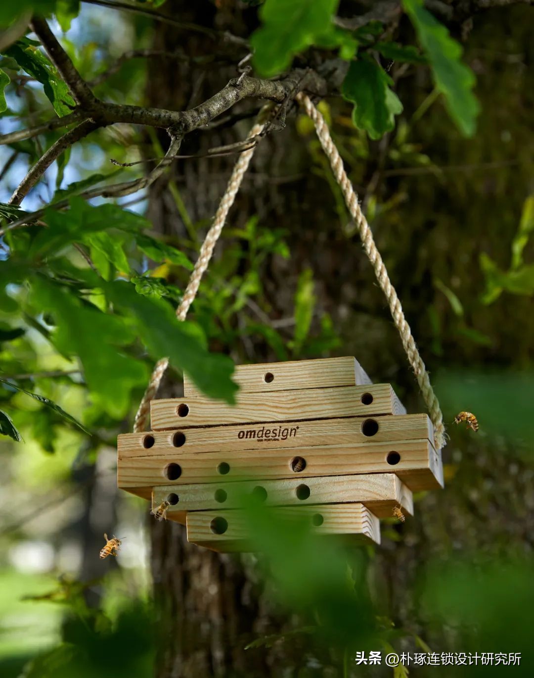 蜂蜜包装有什么设计理念吗,蜂蜜包装设计风格