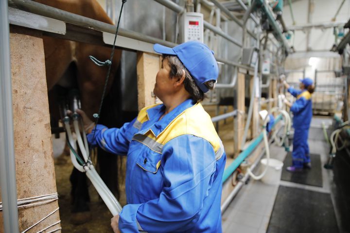 酸奶吧加盟项目怎么样,酸奶吧加盟