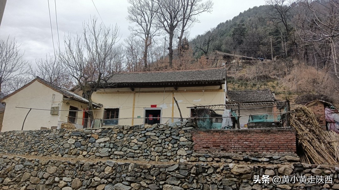 秦岭哪儿还有七叶一枝花,美到心动