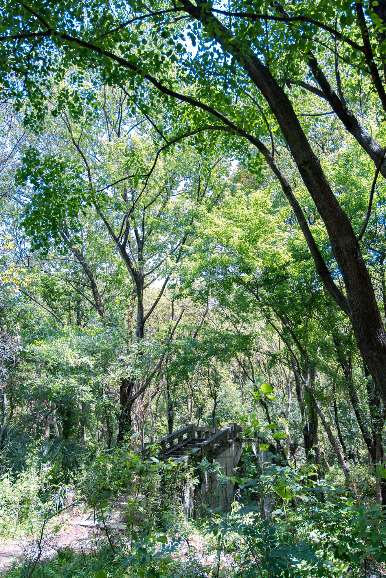 武汉历史上最悠久的地方,武汉历史底蕴