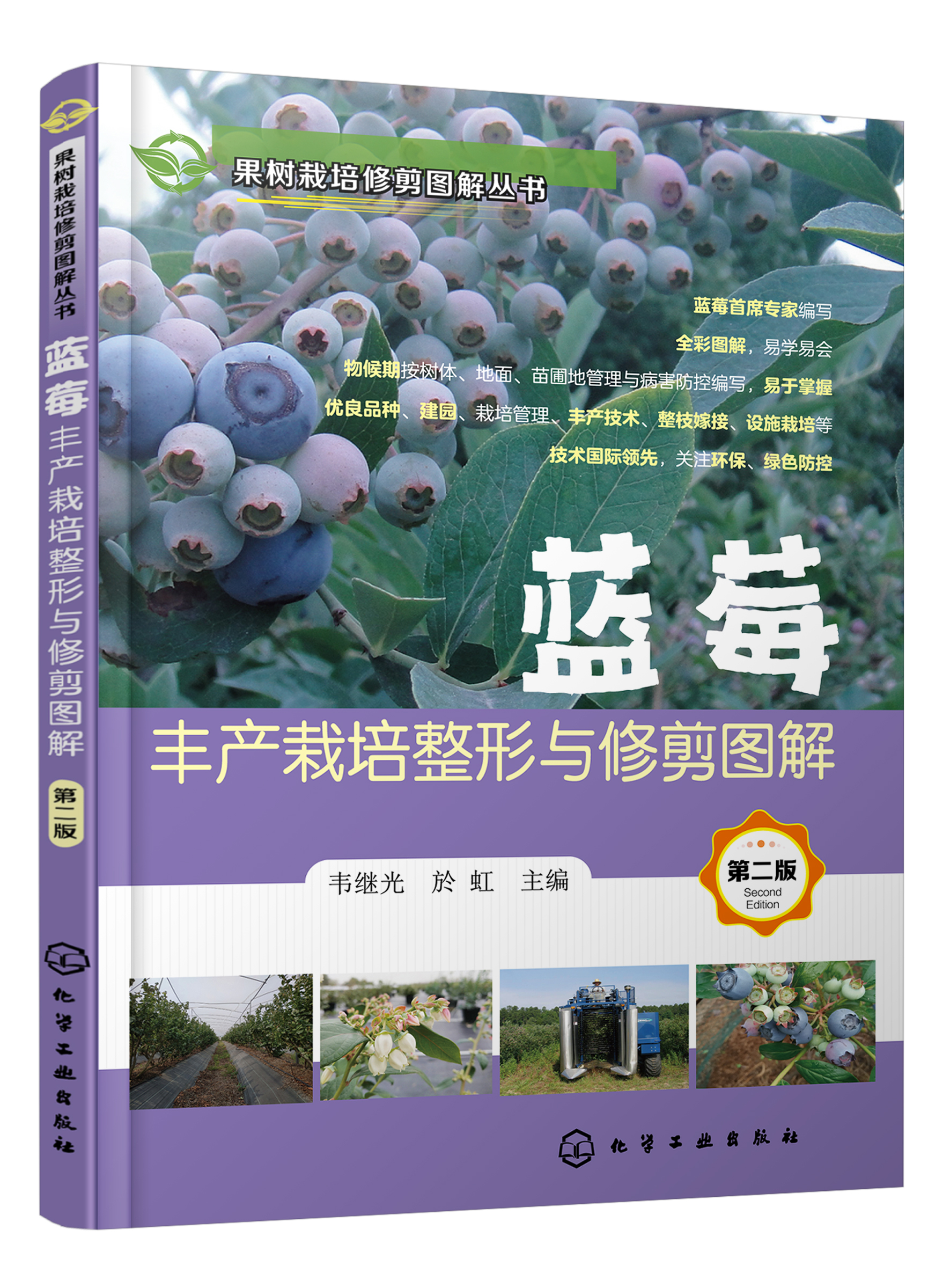 种植蓝莓有发展吗,蓝莓的种植与发展